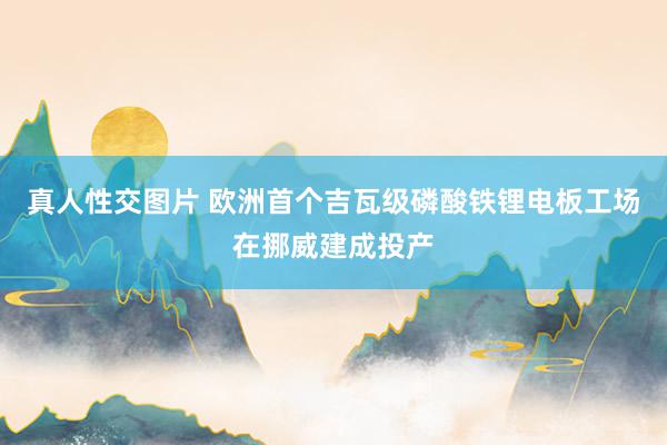 真人性交图片 欧洲首个吉瓦级磷酸铁锂电板工场在挪威建成投产